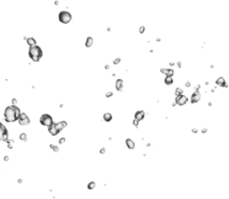 https://luisbodyshop.com/wp-content/uploads/2021/10/img-bubbles-4.png